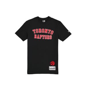 Toronto Raptors Team Color Logo Select T-Shirt