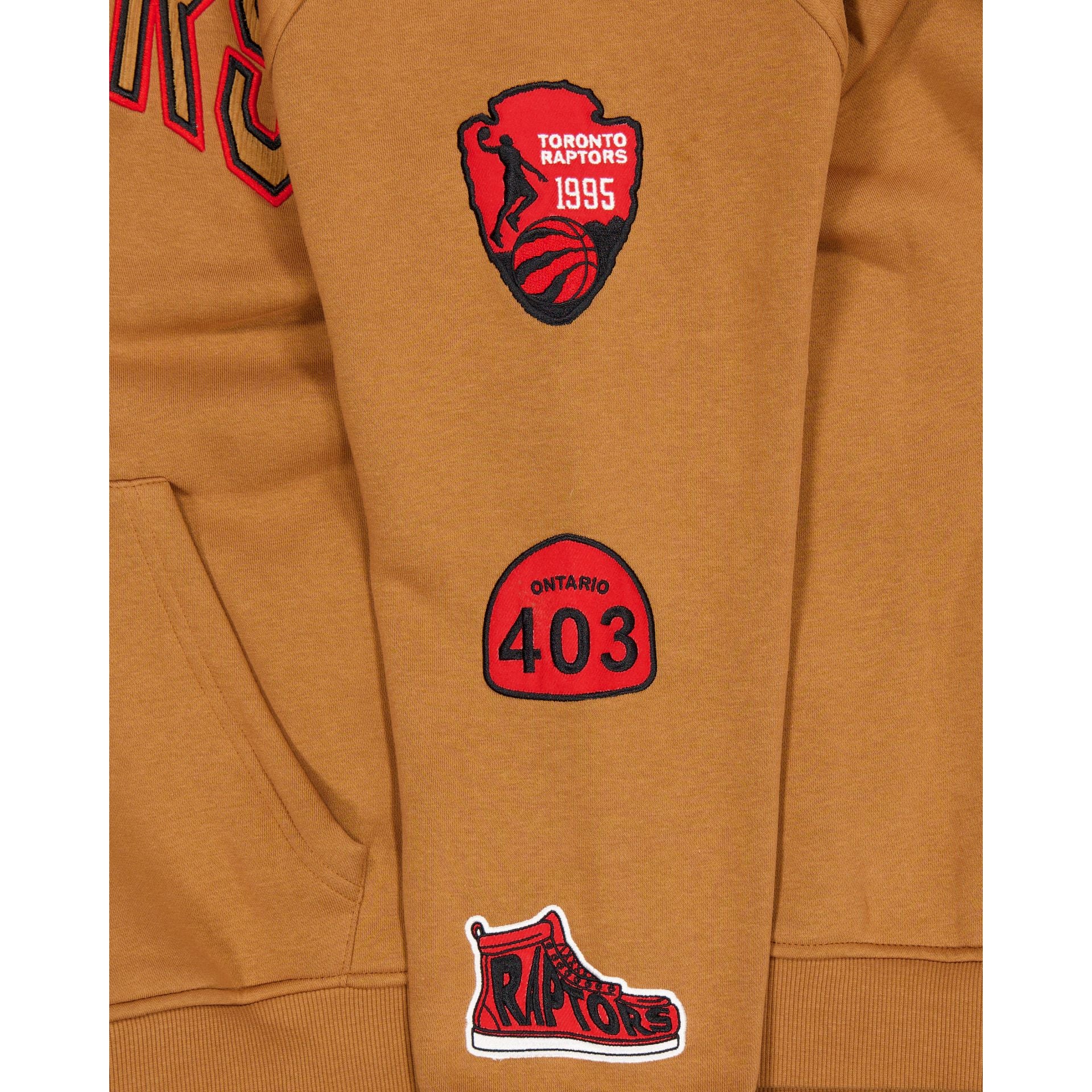 Toronto Raptors 2025 All-Star Game Victory Grove Light Bronze Hoodie - Image 3