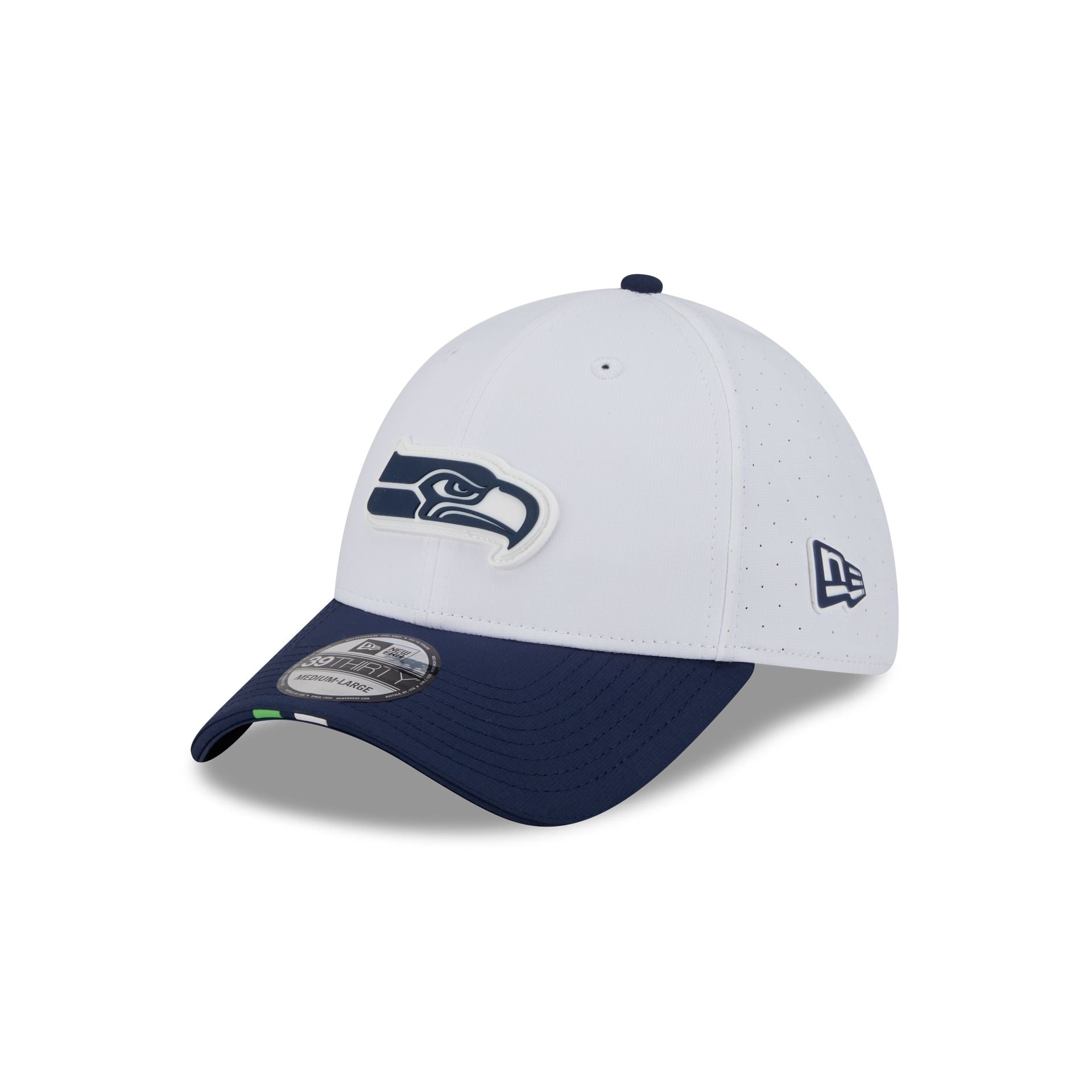 Seattle Seahawks 2025 Training 39THIRTY Stretch Fit Hat