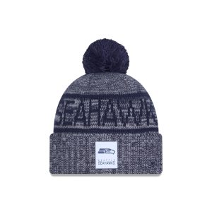 Seattle Seahawks 2025 Sideline Cold Weather Gray Pom Knit Hat