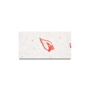 Arizona Cardinals 2025 NFL Rivalries Headband