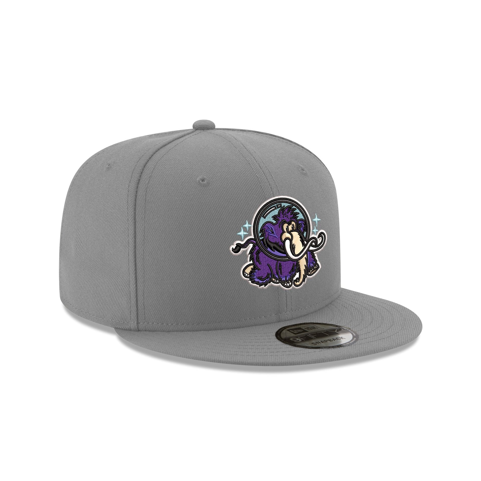 Erie Moon Mammoths Gray 9FIFTY Snapback Hat - Image 3
